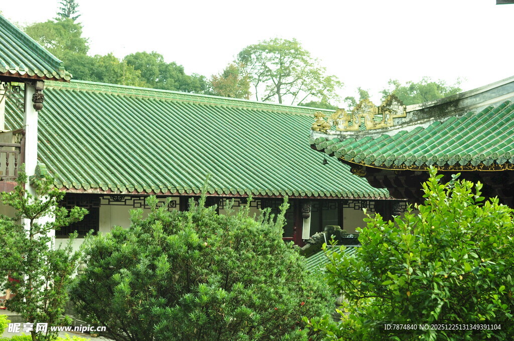 中式绿瓦建筑旁的绿植