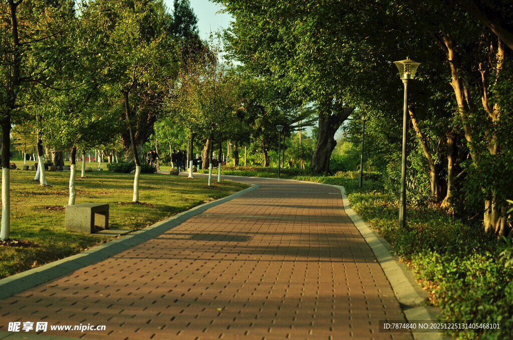 公园中的红砖林荫步道