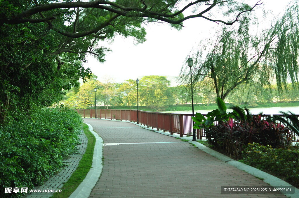 湖畔林荫步道风景