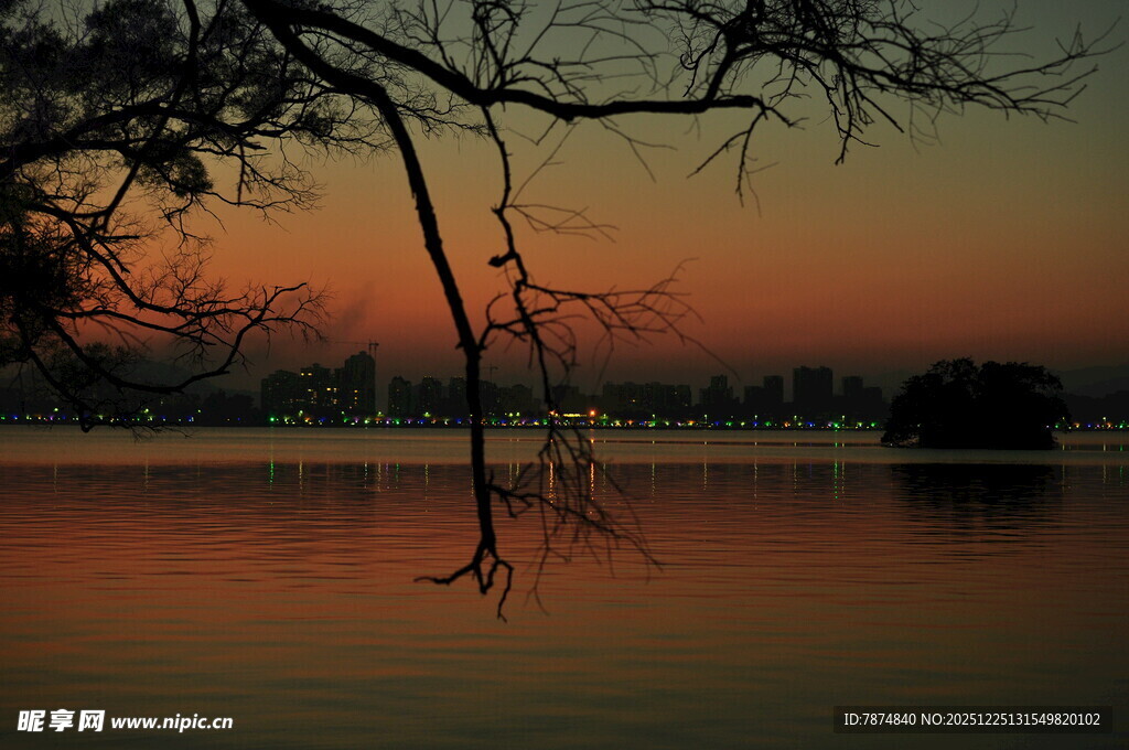夕阳下的静谧湖面与树枝