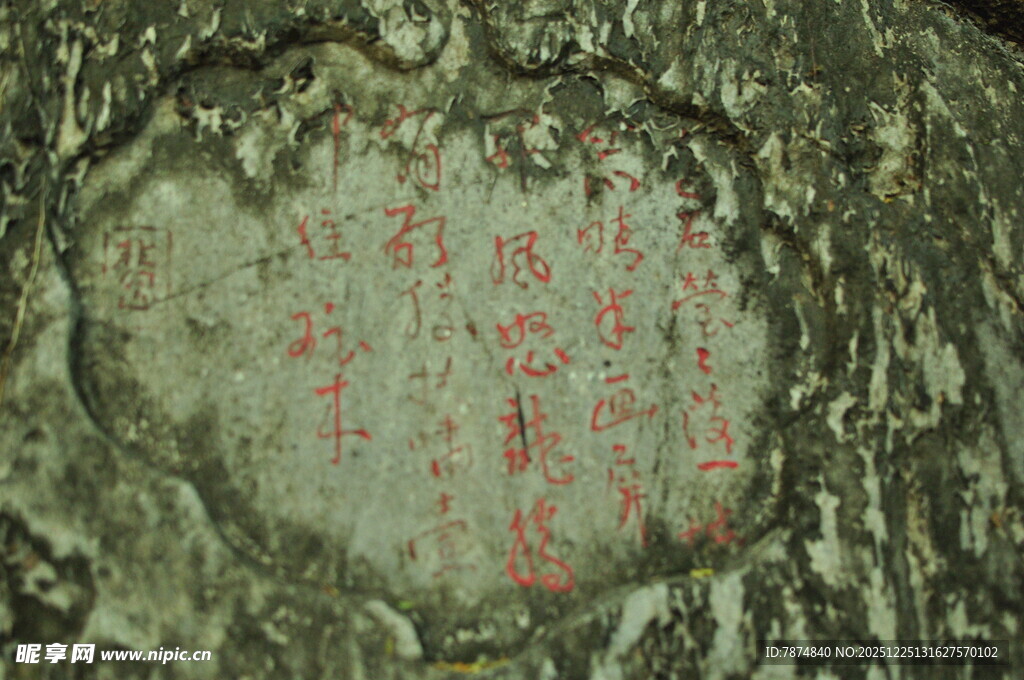 树皮上的斑驳红色痕迹