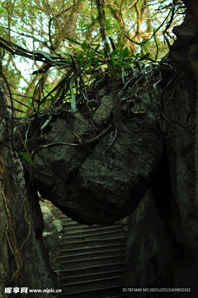 藤蔓缠绕的石阶山洞景观