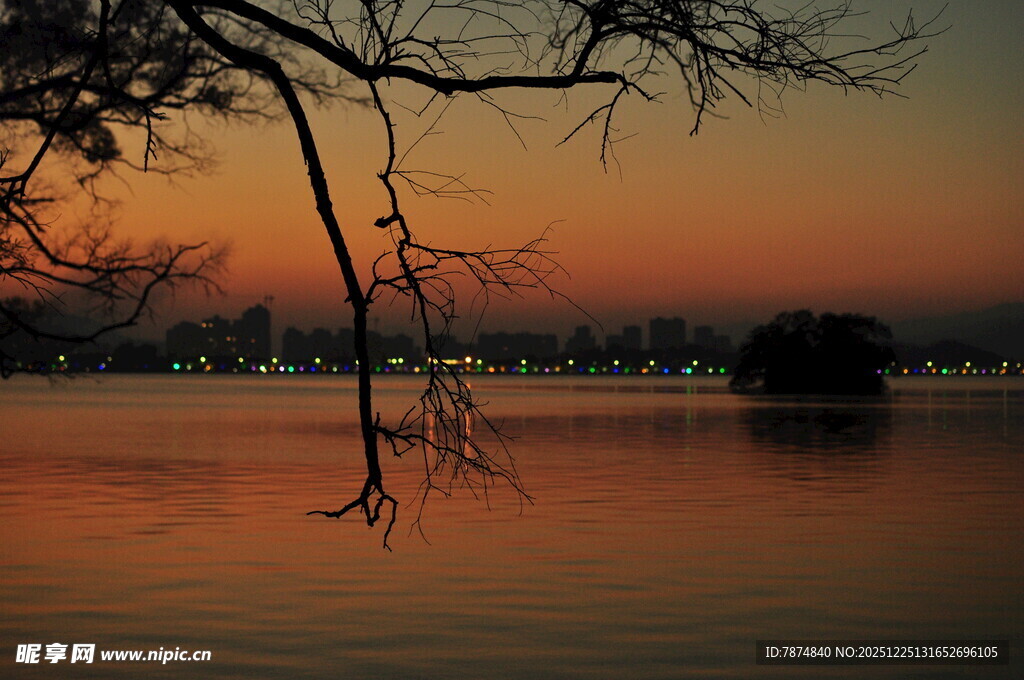 湖畔黄昏景 枯枝映霞光