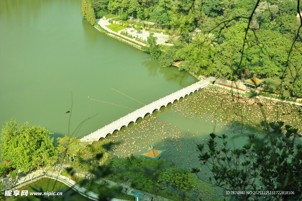 湖上长桥伴绿意