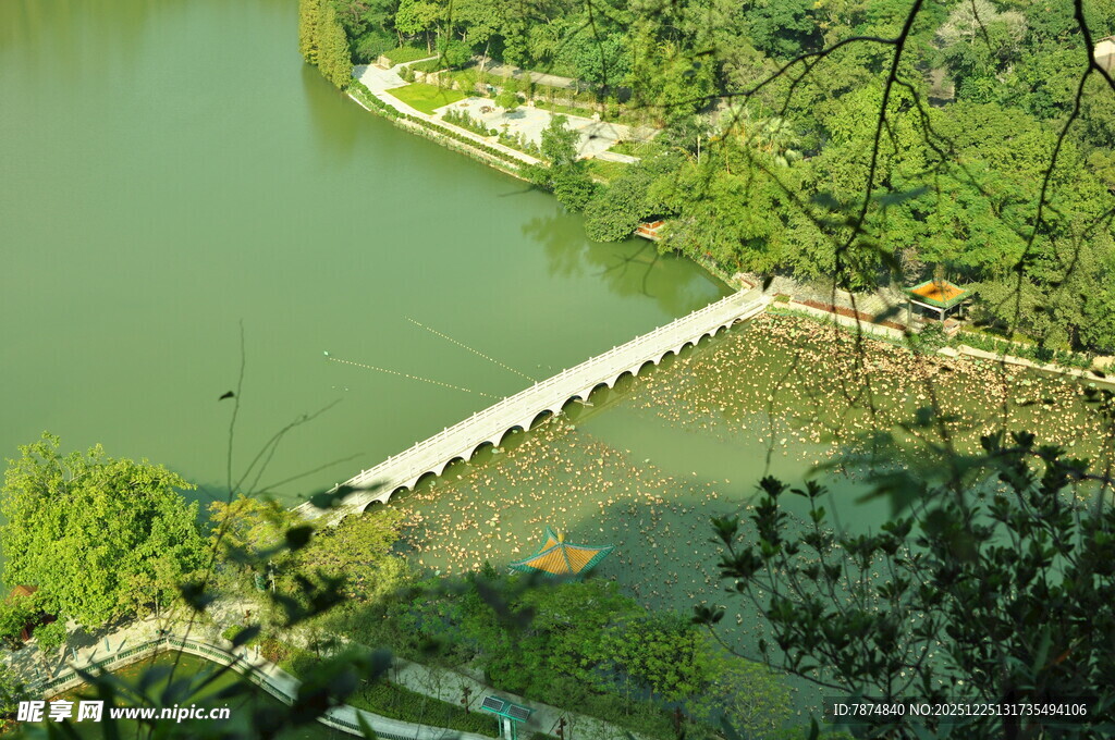 湖上长桥 绿意环绕美景