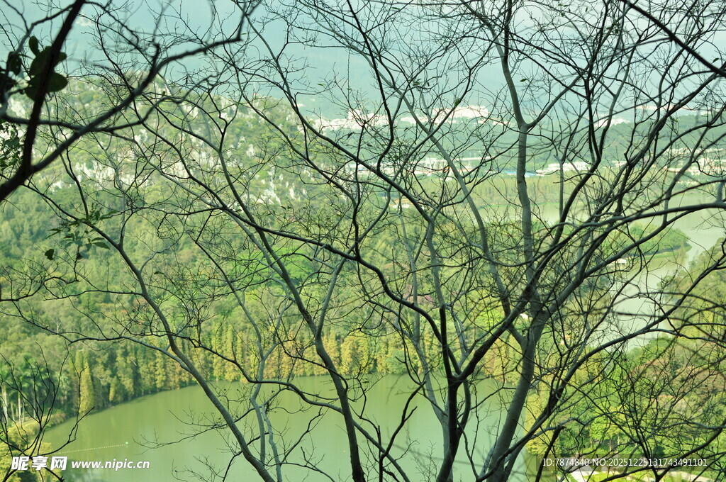 俯瞰葱郁山林与蜿蜒河流