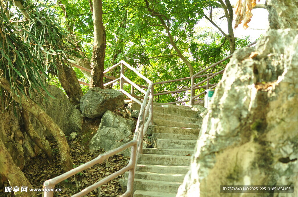 山林间的木质阶梯景观
