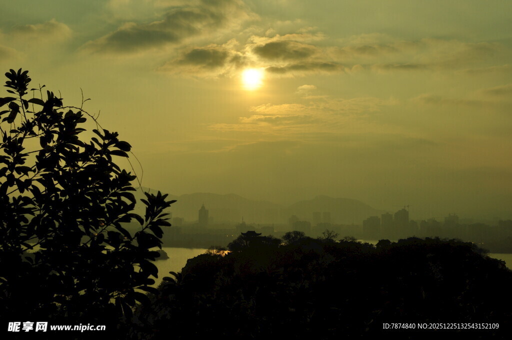 夕阳下的树木与朦胧天际