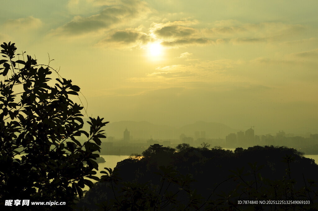 日落时分的树影与霞光