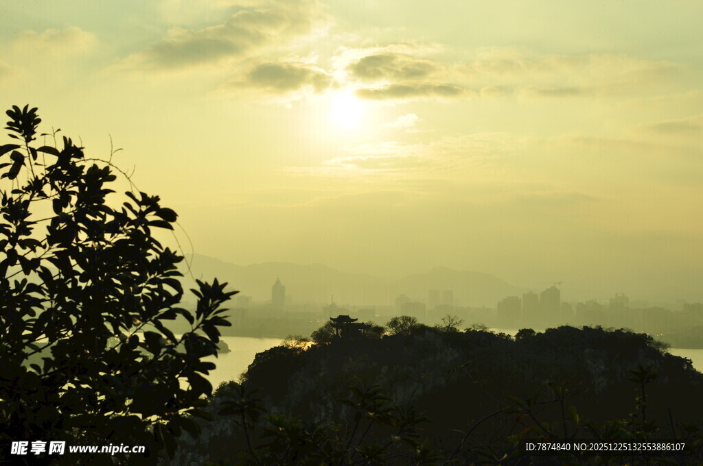 日落时分的树影与霞光