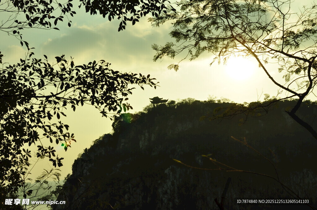 林间晨曦下的山峦景色