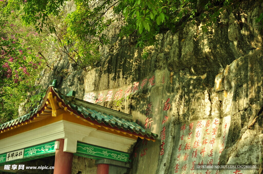 山间古亭隐于葱郁草木间