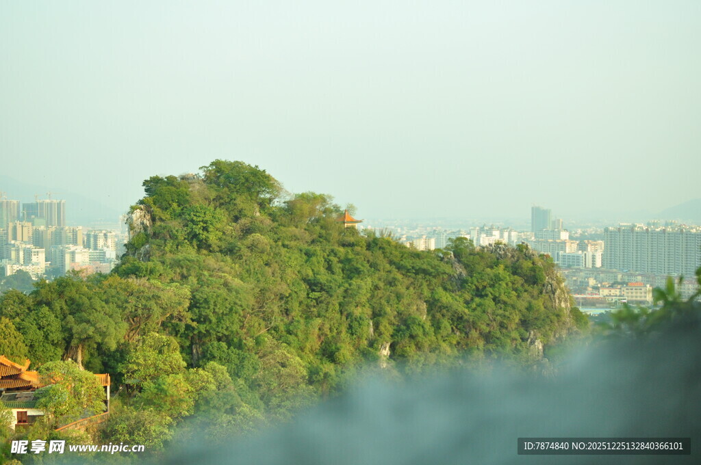 河畔绿树与远处城市景观