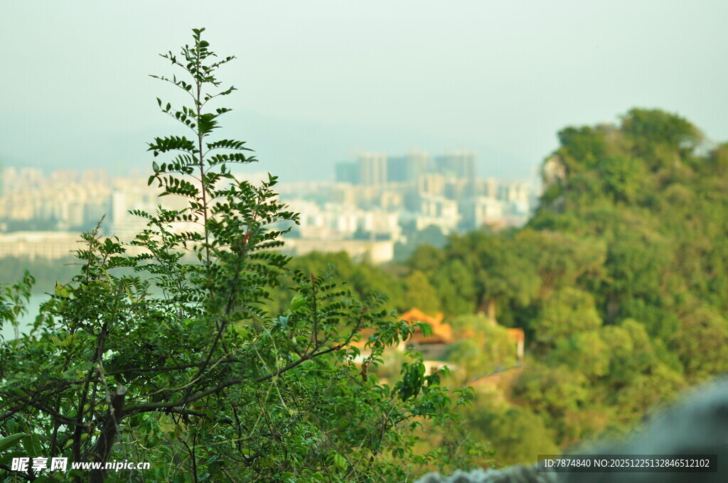 绿树掩映下的城市远景