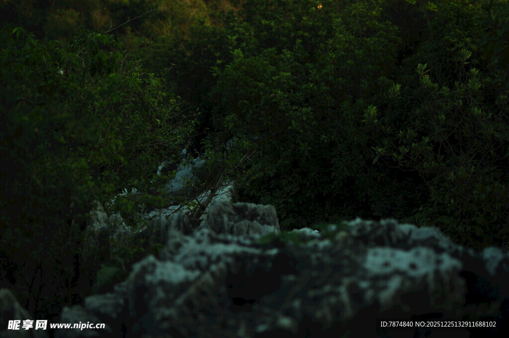 山林间的岩石与植被