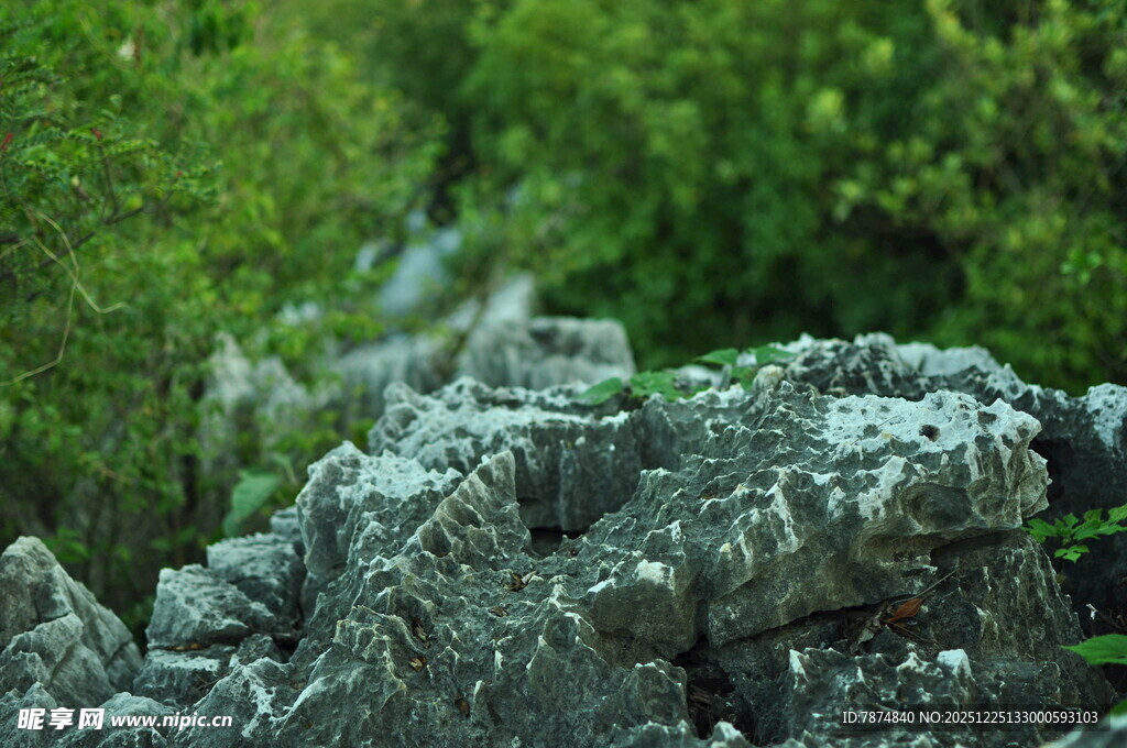 山间嶙峋怪石与葱郁植被