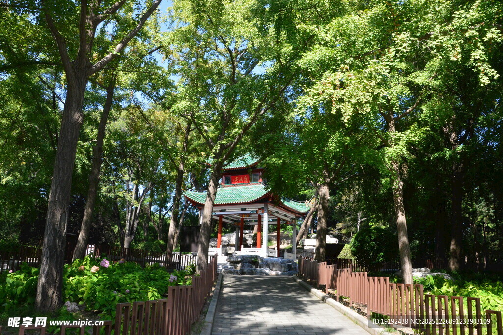 公园风景  