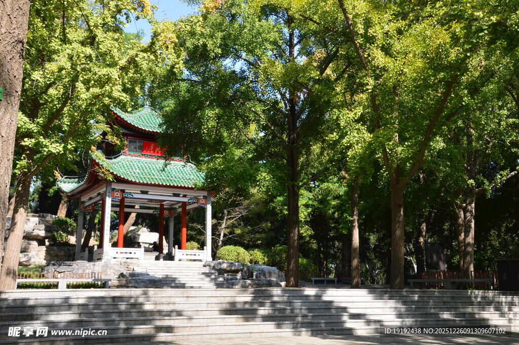 公园风景  