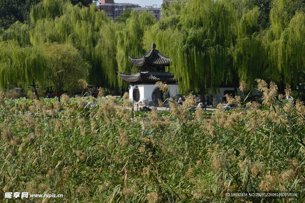 公园风景  