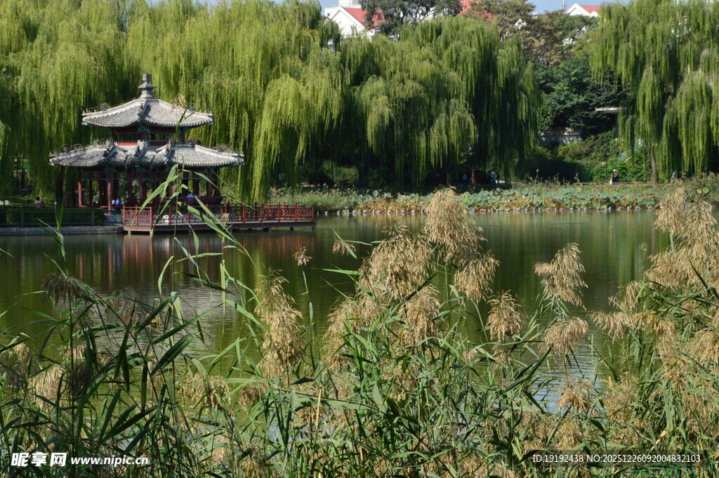 公园风景  