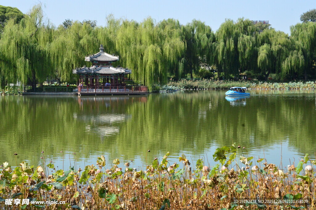 公园风景  