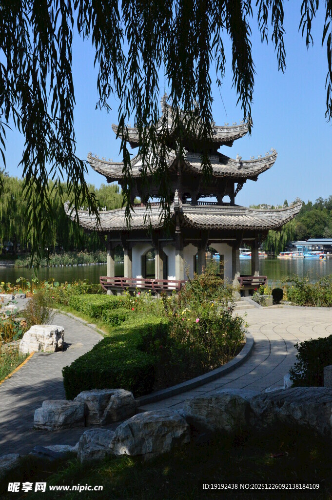 公园风景  