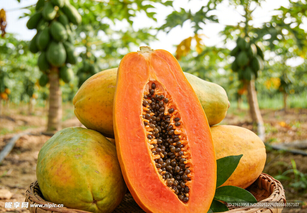 新鲜木瓜堆于篮中