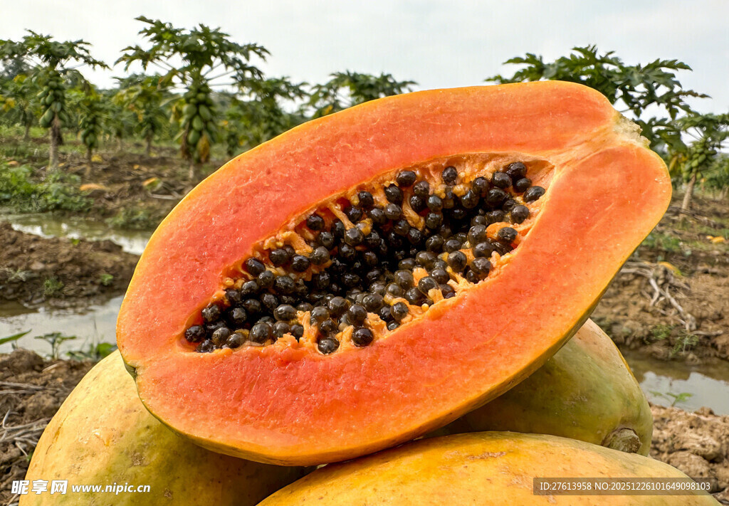 切开的新鲜木瓜