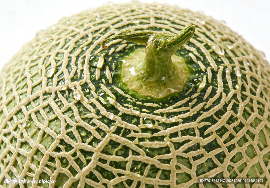 网纹瓜特写