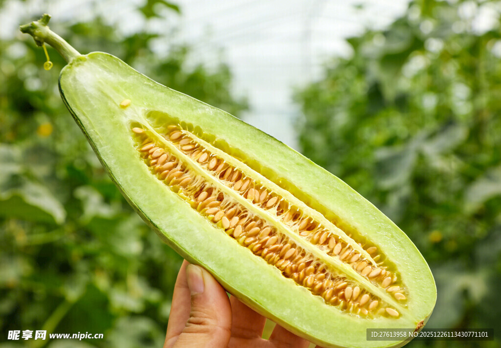 切开的羊角蜜甜瓜