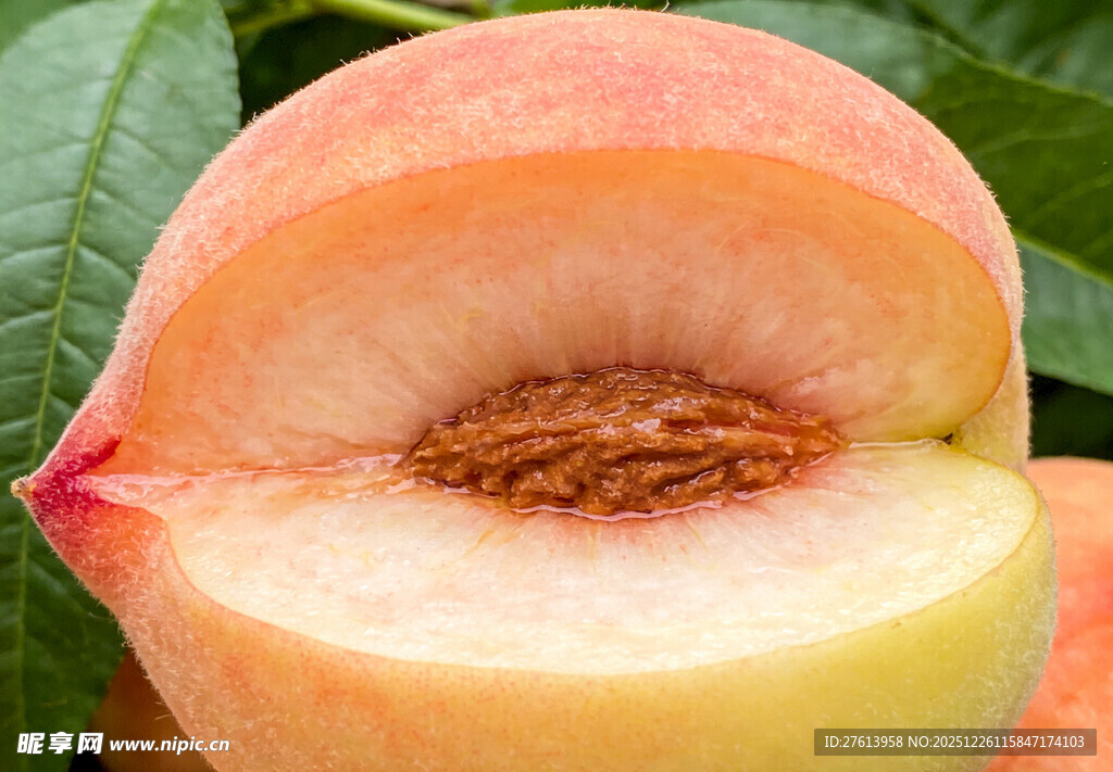 切开的水蜜桃