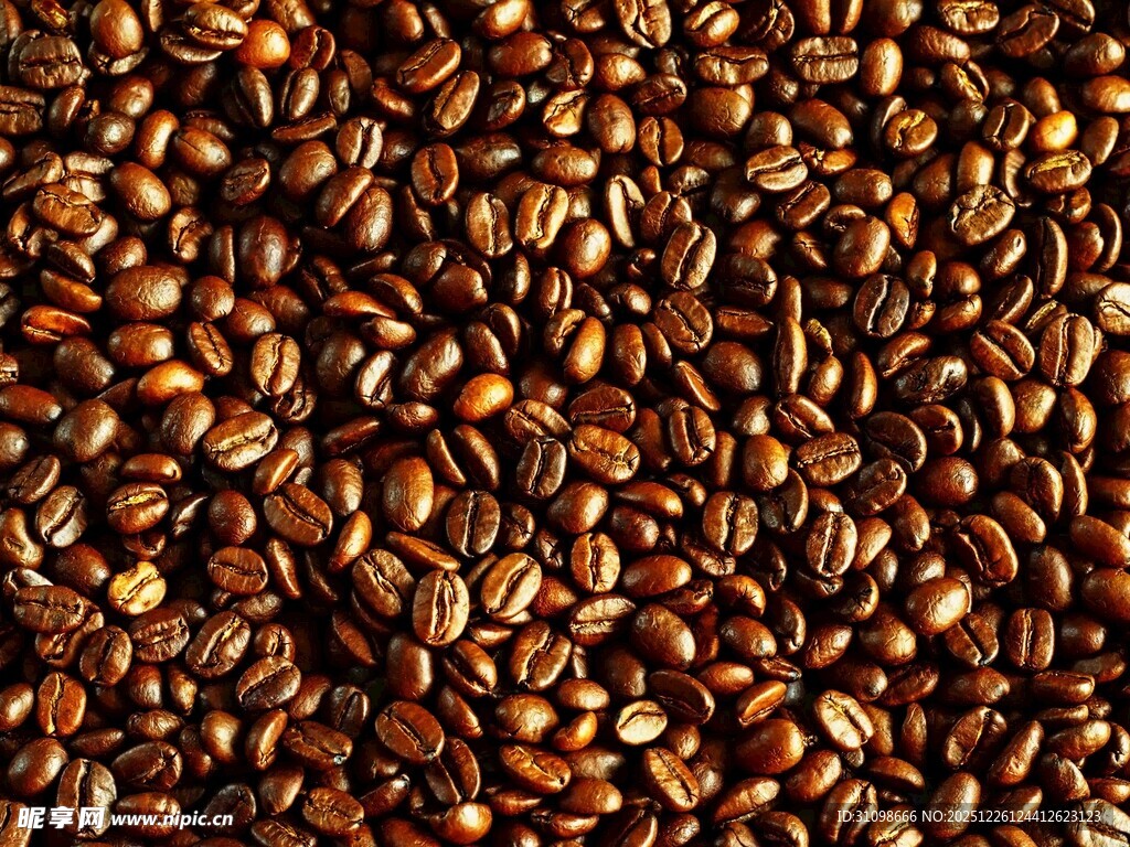 饱满咖啡豆特写