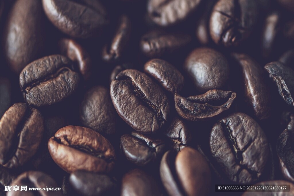 饱满咖啡豆特写
