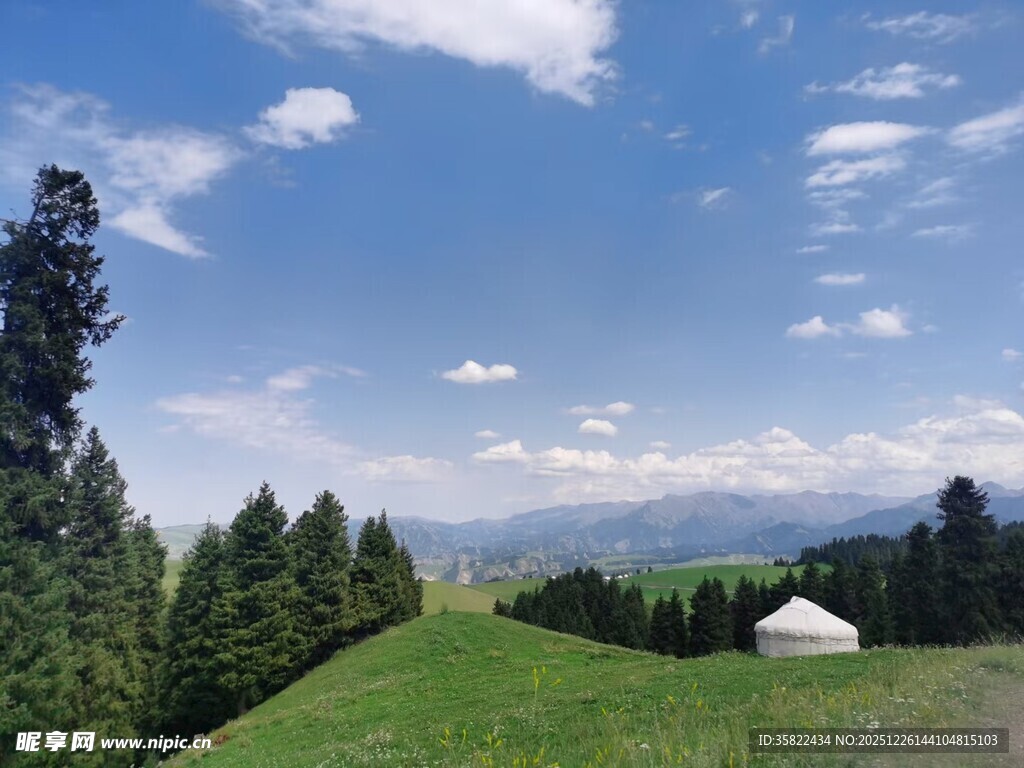 草原风光中的白色毡房