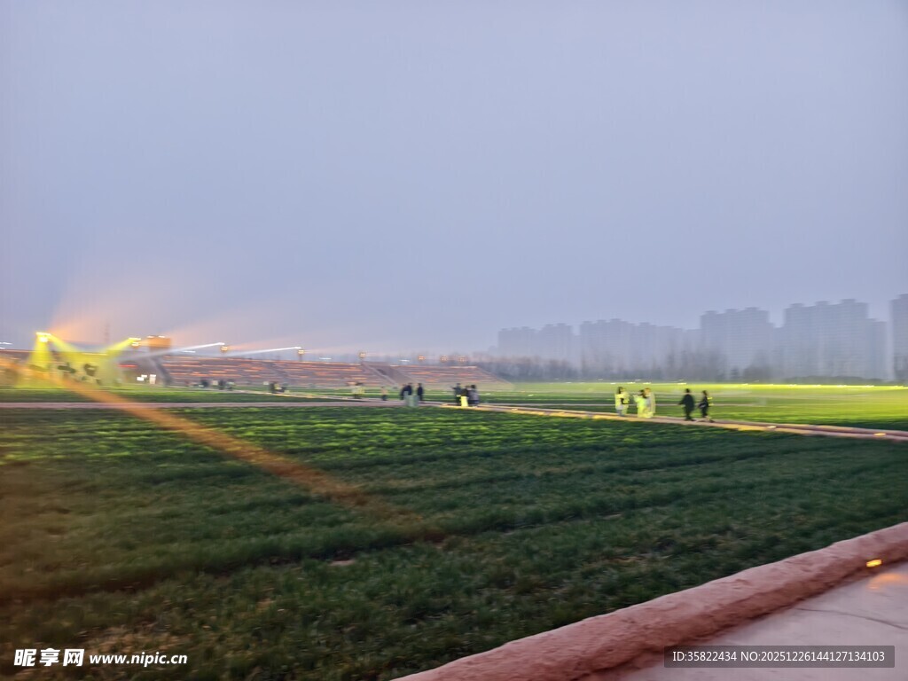 雾中田野与远处城市景观
