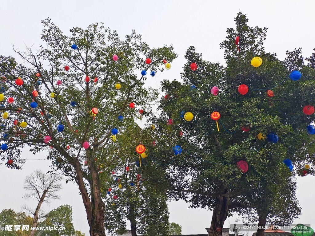 树上彩色装饰营造欢乐氛围