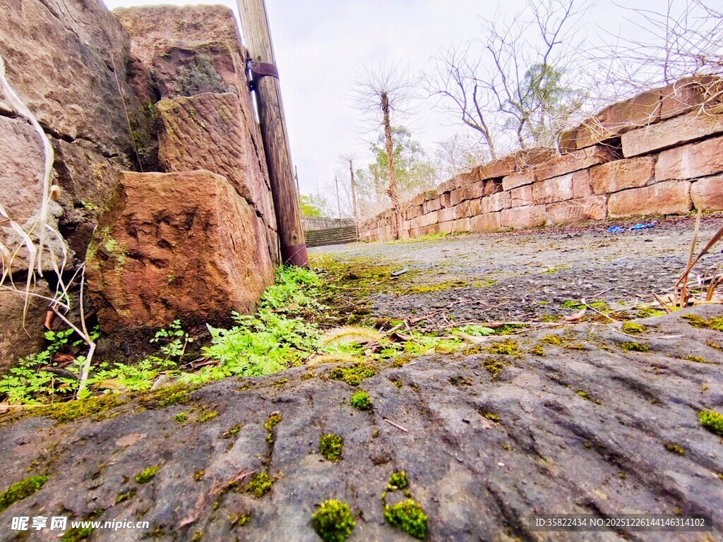 古老石墙下的青苔小径