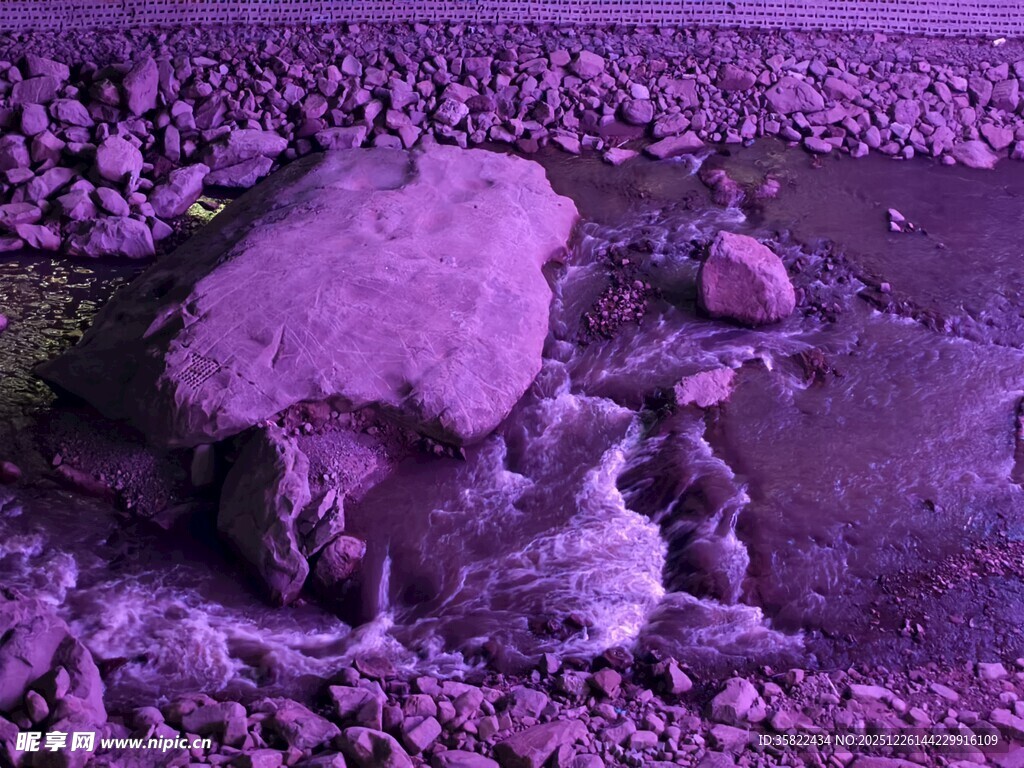 紫色调的神秘骷髅场景