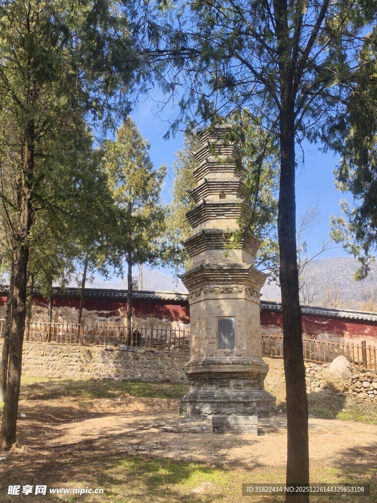 古寺旁的石塔与林间景致