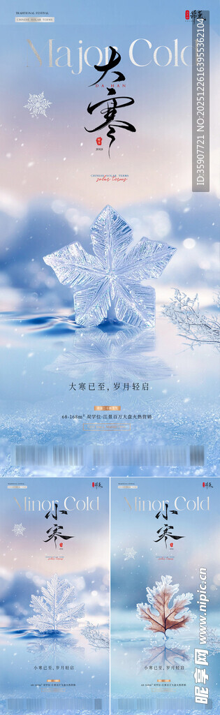 地产小寒大寒雪花风景海报