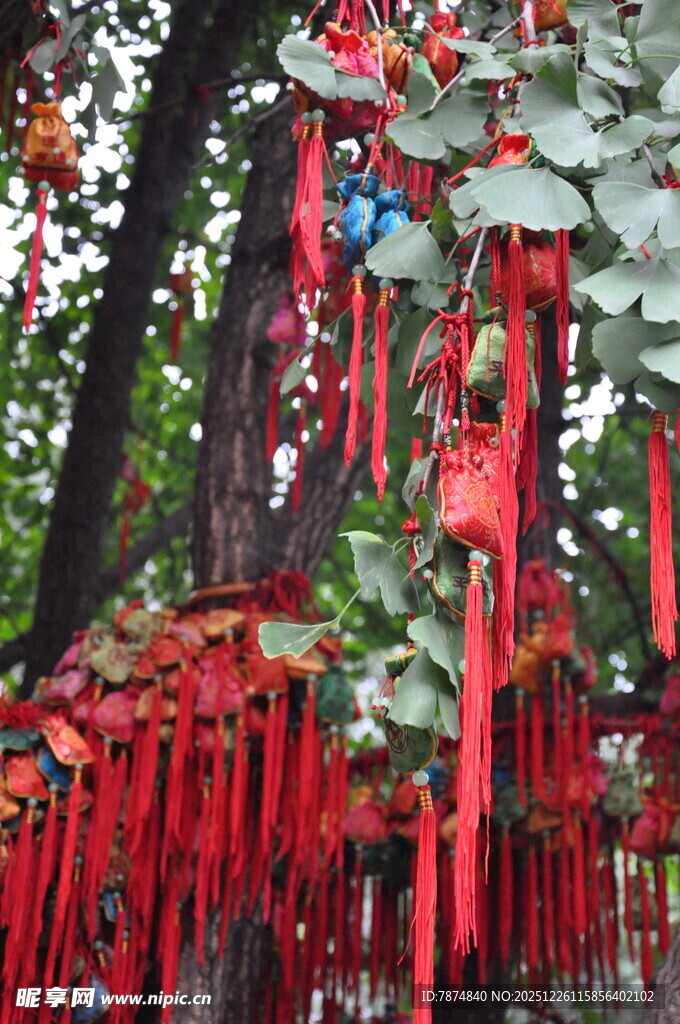 树上祈福红绸与许愿牌