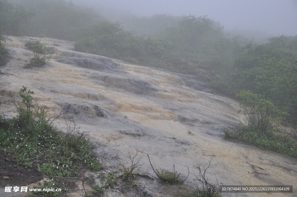 山间雾中岩石与绿植景观