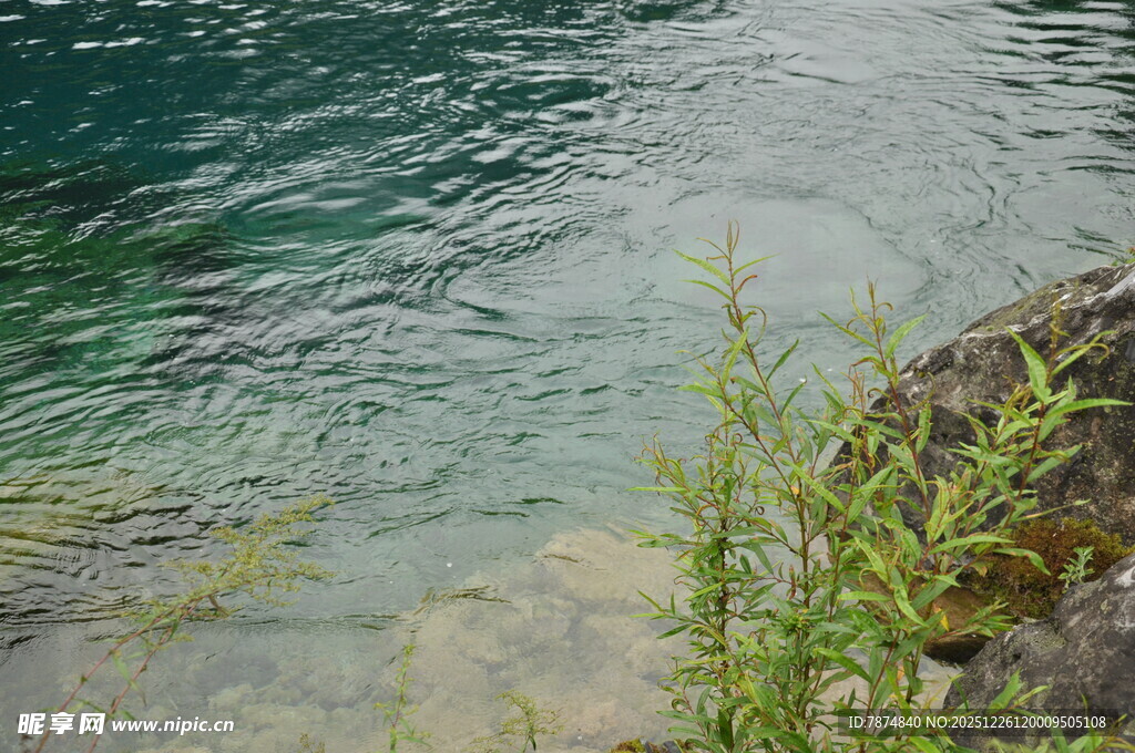 清澈水边绿植与岩石景观
