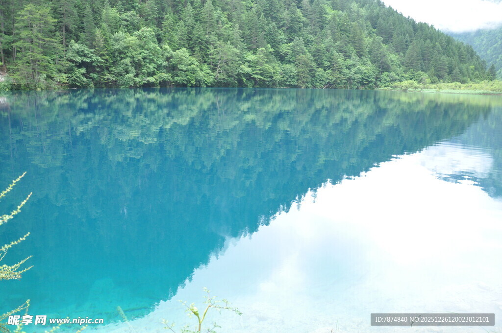 清澈蓝湖映山林美景