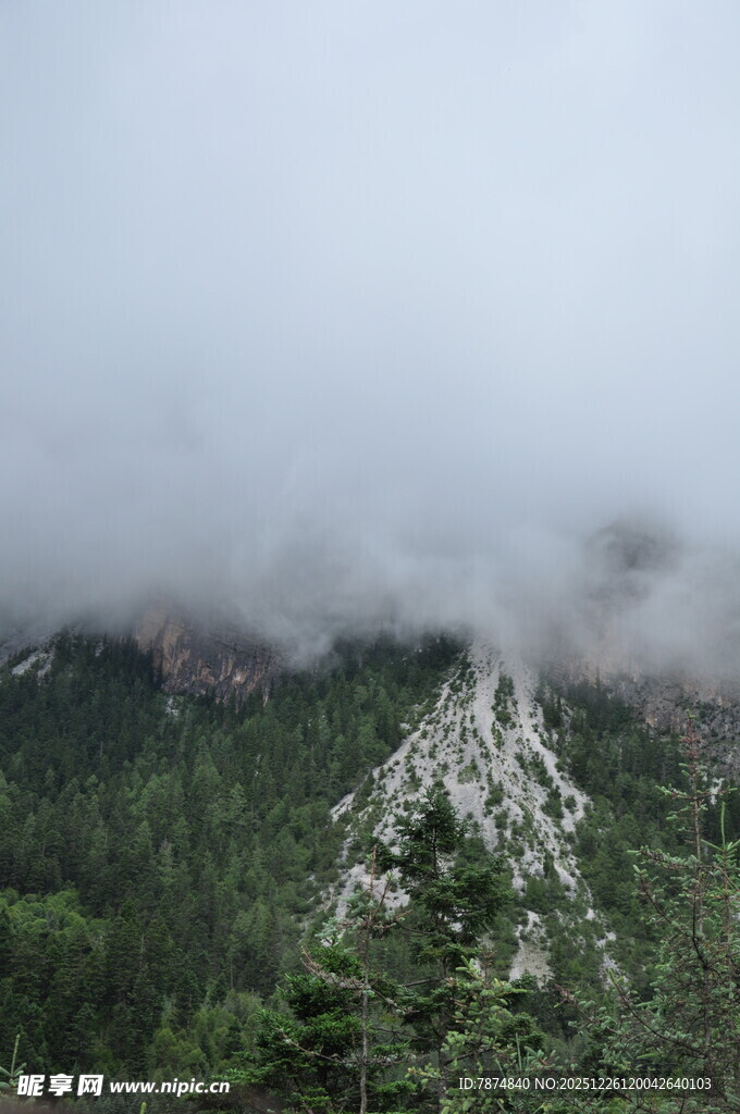 云雾缭绕的山林景观