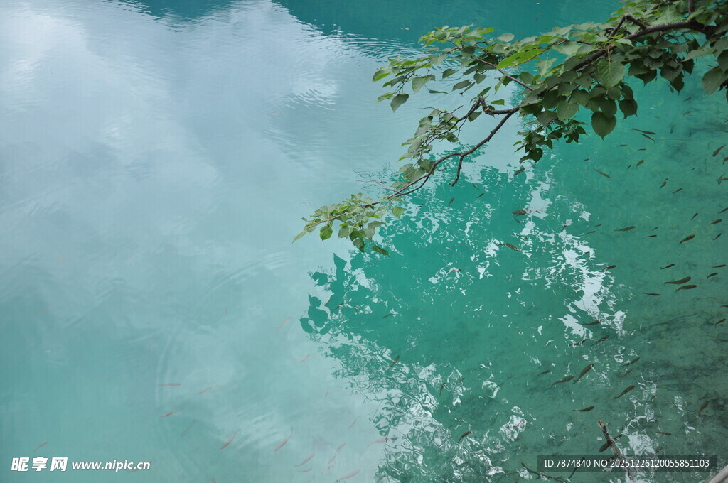 俯瞰翠绿山水间的云雾