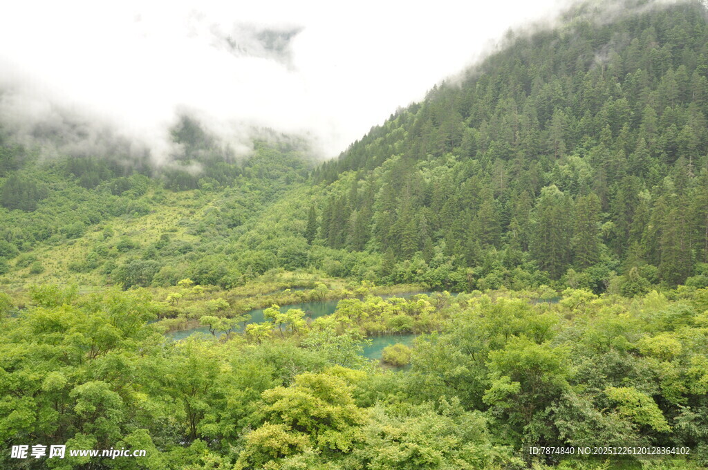 山间绿野 云雾缭绕之景