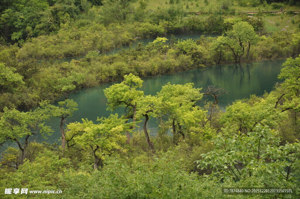 山间幽潭绿意盎然
