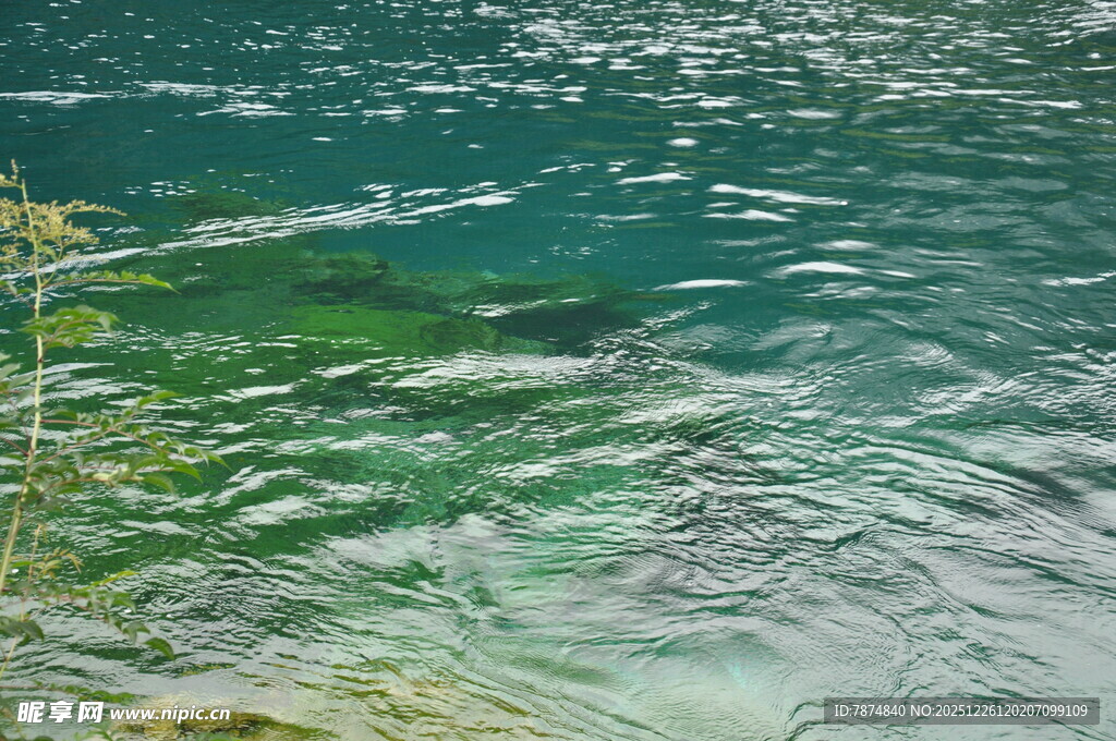 清澈碧绿的湖水景观