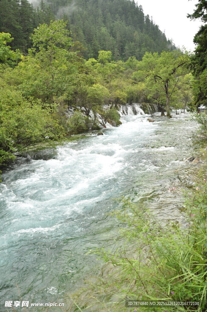 山间湍急溪流 绿意环绕